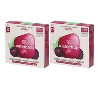Waterdrop Microdrink Mora 2x24 g