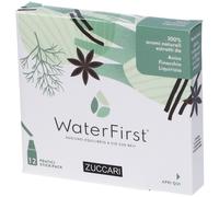 WaterFirst Anice, Finocchio, Liquirizia 18 g Polvere per soluzione ora