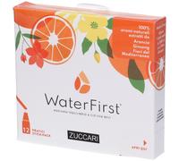 WaterFirst Arancio, Ginseng, Fiori del Mediterraneo 18 g Polvere per s