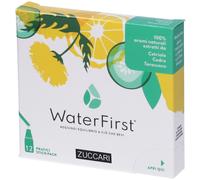 WaterFirst Cetriolo, Cedro, Tarassaco 18 g Polvere per soluzione orale