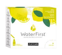 Water First Limone-menta-fiori Di Sambuco 18 g Polvere per soluzione o