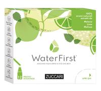 WATERFIRST MELON LIME MEL12STK