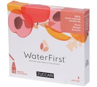 WaterFirst Pesca, Mango, Zenzero 18 g Polvere per soluzione orale