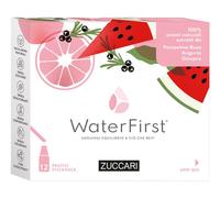 WATERFIRST POMPEL ANG GIN12STK