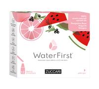 Zuccari WaterFirst Pompelmo Rosa/Anguria/Ginepro 12 Stick