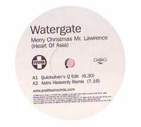 Watergate - Merry Christmas Mr. Lawrence..