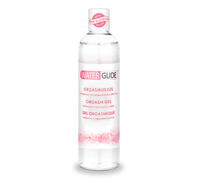 Waterglide Orgasm Gel 300ml