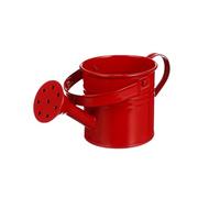 Watering Can, Galvanized Flower Container, Decorative Plant Feeder, Outdoor Gardening Tool, Stylish Metal Pitcher for Backyard Patio Porch and Gardeners' Daily Plant Care