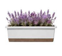 Watering Pots Indoor Plants | Rectangular Container Vegetable Base | Drainage Hole Absorbent Rope Rectangular Flower Pots,for Vegetable Strawberry Cuttings Garden Indoor Outdoor