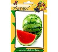 Watermelon Seed (25 per pacchetto) Seeds ONLY