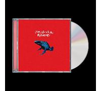 intellectual property