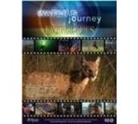 Water's Journey- Everglades: Restoring Hope