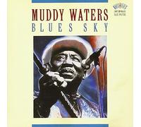 Waters,Muddy - Best of 1970'S