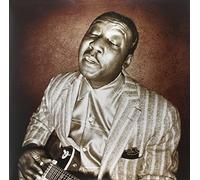Waters, Muddy - Blues Masterworks (2 LP)