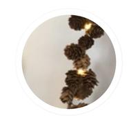 WatioWave 1 m GUIRNALDA DI ANanas LED A PILA