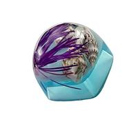 Watreketal Keycap Resina Che Mostra Illustrazioni Dettagliate Per Tastiere Meccaniche 1pc Personalizzabile Traslucido