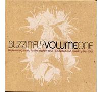 Watt,Ben - Buzzin'fly Volume One