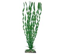 Wave A8011900 Plant Classic Valisneria