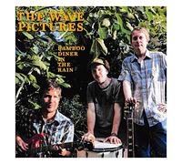 Wave Pictures - Bamboo Diner In The Rain