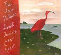 Wave Pictures - Look Inside Your Heart