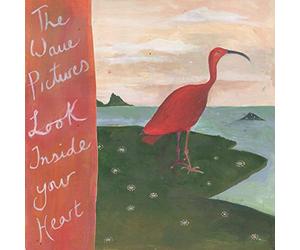 Wave Pictures - Look Inside Your Heart