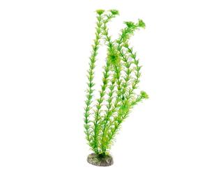 Wave Plant Classic Cabomba XL