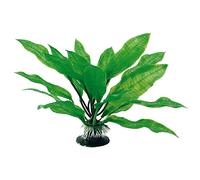 Wave Plant Classic Echinodoru S LG