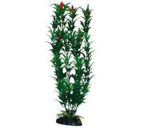 Wave Plant Classic Egeria Flowers Bicolour MD