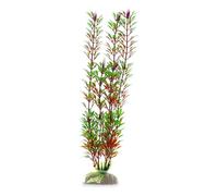 Wave Plant Classic Flora Bicolour LG