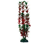 Wave Plant Classic Ludwigia S M