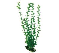 Amtra Wave Plant Classic Rotala MD
