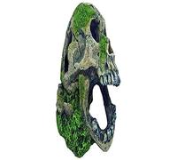 Wave Teschio con Muschio