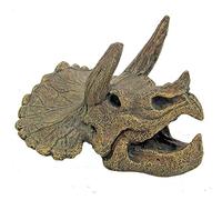 Wave Teschio di Triceratopo