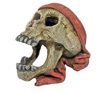 Wave Teschio Pirata con Bandana