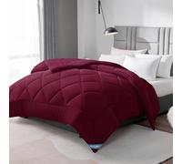 WAVVE Piumino Letto Piazza e Mezza Quattro 4 Stagioni - Piumone Autunnale Invernale 200 x 200 cm - Coperta Trapunta 200x200 di Microfibra Sintetico, Bordeaux