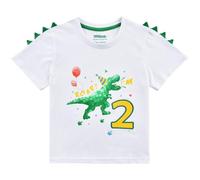 WAWSAM 2 °Compleanno Dinosauro Camicia Ragazzo Manica Corta Compleanno Festa Regalo della Maglietta Seconda Compleanno Saurus Cotone Manica Corta T-Rex con Ricamo Stampato Acquerello Maglietta