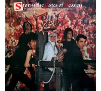 Wayne County and The Electric Chairs Storm the Gates of Heaven (Vinyl LP)