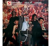 Wayne County and The Electric Chairs Storm the Gates of Heaven (Vinyl LP)