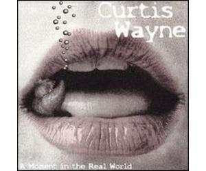 Wayne, Curtis - Moment In The Real World