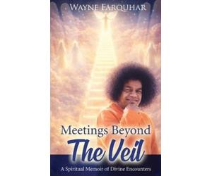 Wayne Eric Farquhar Meetings Beyond the Veil (Copertina rigida)