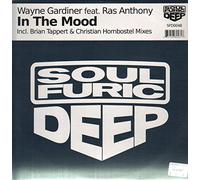 Wayne Gardiner feat. Ras Anthony - Wayne Gardiner Ft. Ras Anthony - In The Mood