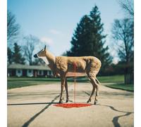 Wayne Graham Bastion (CD) Album