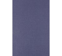 Wayne Hanley The Genesis of Napoleonic Propaganda, 1796-1799 (Copertina rigida)