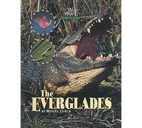Wayne Lynch Everglades (Tascabile) Our Wild World