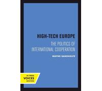 Wayne Sandholtz High-Tech Europe (Tascabile)