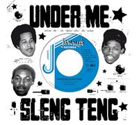 Wayne Smith - Under Me Sleng Teng