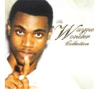 Wayne Wonder - The Wayne Wonder Collection