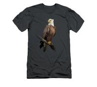 WAYSDA The Regal Eagle T-Shirt Black XXL