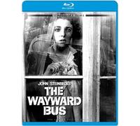 Wayward Bus