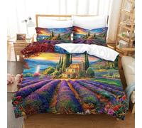 WBCFGHJKN Provenza Biancheria Da Letto 3 Pezzi Set Copripiumino E Federa Coordinata Per Ragazzi E Ragazze King（220x240cm）